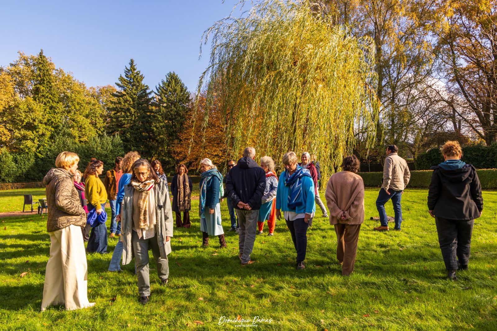 Cycle Constellation systémique d’organisation