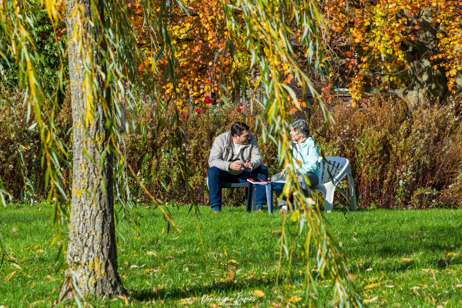 Le parcours vers la certification en coaching régénératif