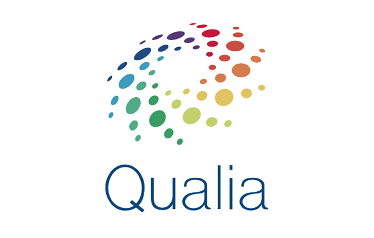 Qualia